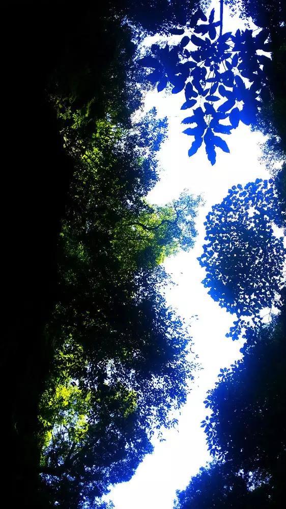 潼南•遂宁两地公安联合开展防范和打击金融犯罪宣传活动