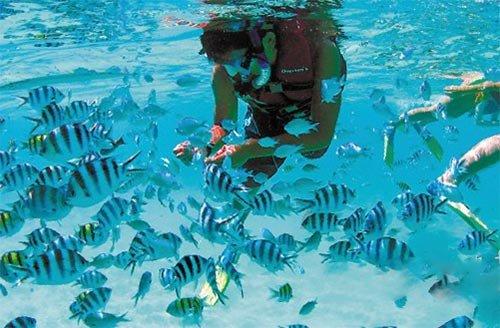 流窜盗窃55部手机，6小时跨省抓获~