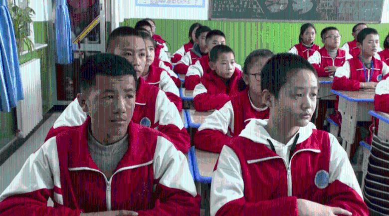 猎人的生存日记加强版
