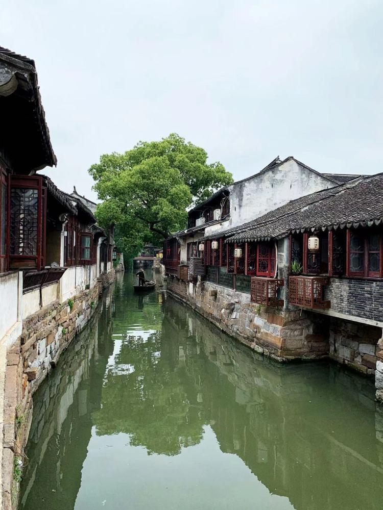 官媒《新京报》发布肖战荣获“三个奖项”，真是实至名归